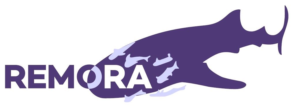 remora logo